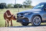 Mercedes-Benz GLE400 d 4Matic AMG Line 2019 года (WW)